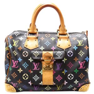 Louis Vuitton Speedy 30 Multicolor