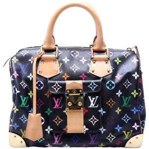 Louis Vuitton Speedy 30 Multicolor Monogram