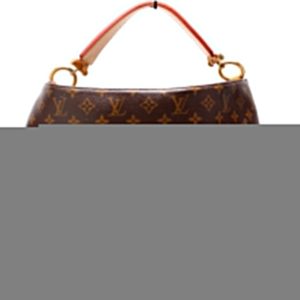 Louis Vuitton Sully MM Monogram