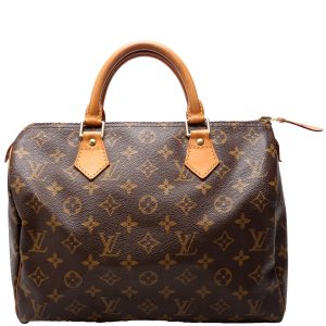 Louis Vuitton Speedy 30 Monogram