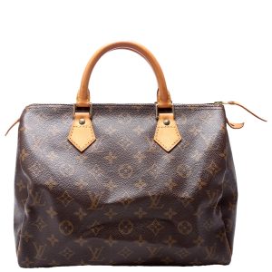 Louis Vuitton Speedy 30 Monogram