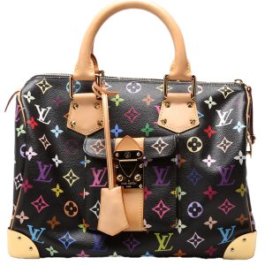 Louis Vuitton Speedy 30 Multicolor