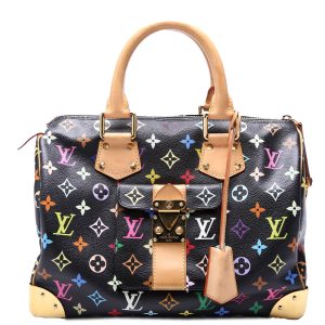 Louis Vuitton Speedy 30 Multicolor