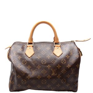 Louis Vuitton Speedy 30 Monogram
