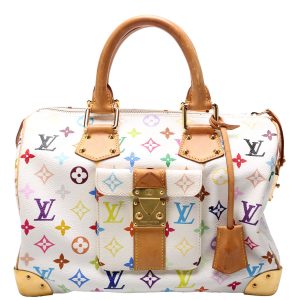 Louis Vuitton Speedy 30 Multicolor