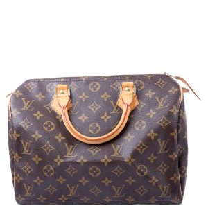 Louis Vuitton Speedy 30 Monogram