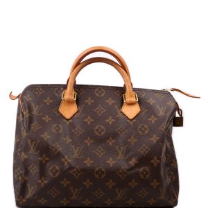 Louis Vuitton Speedy 30 Monogram