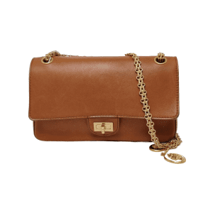 Chanel Nude Medallion 2.55 Reissue Brown Calfskin Double Flap Bag Gold Chain 2017