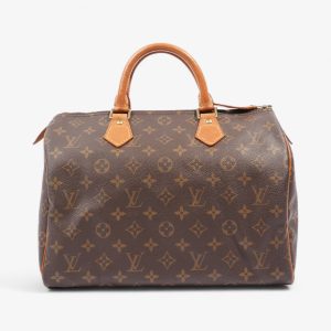 Louis Vuitton Speedy Monogram 30