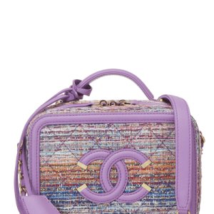 CHANEL FILIGREE BOUCLÃ VANITY CASE CHAIN BAG