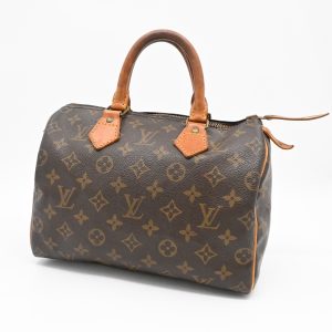 Louis Vuitton Speedy 25 in Monogram Canvas