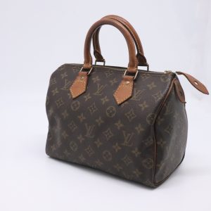 Louis Vuitton Speedy 25 in Monogram Canvas