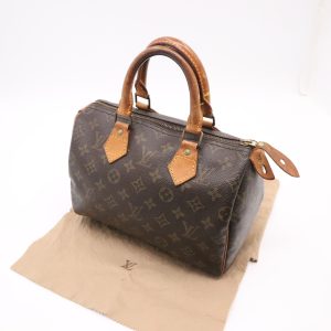 Louis Vuitton Speedy 25 in Monogram Canvas
