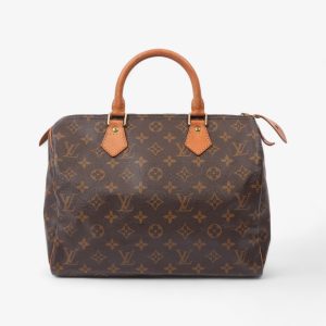 Louis Vuitton Speedy Monogram 30