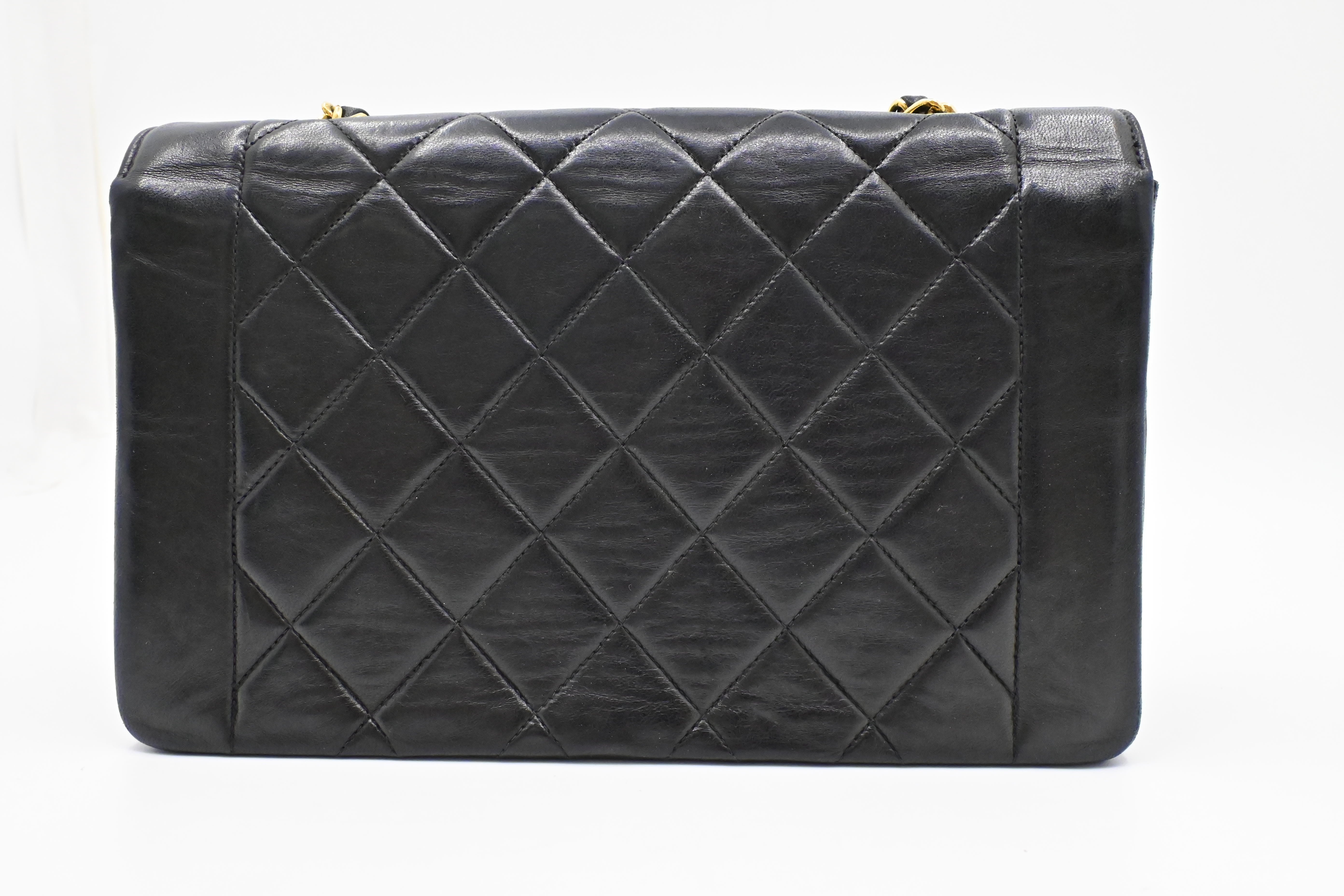 Chanel Medium Diana in Black Leather - Image 4